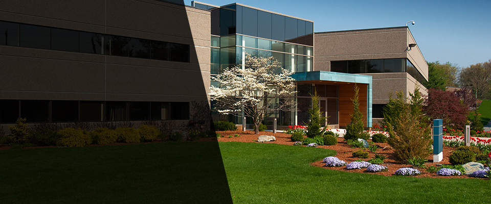 Dimmitt Landscapers