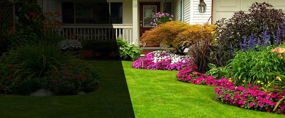 Dimmitt Landscapers