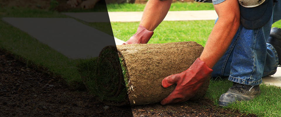 Dimmitt Landscapers